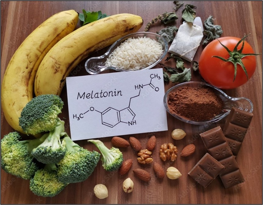 a melatonina produzida pelas plantas