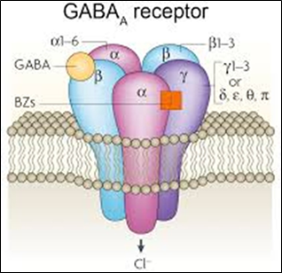 receptor GABAergico